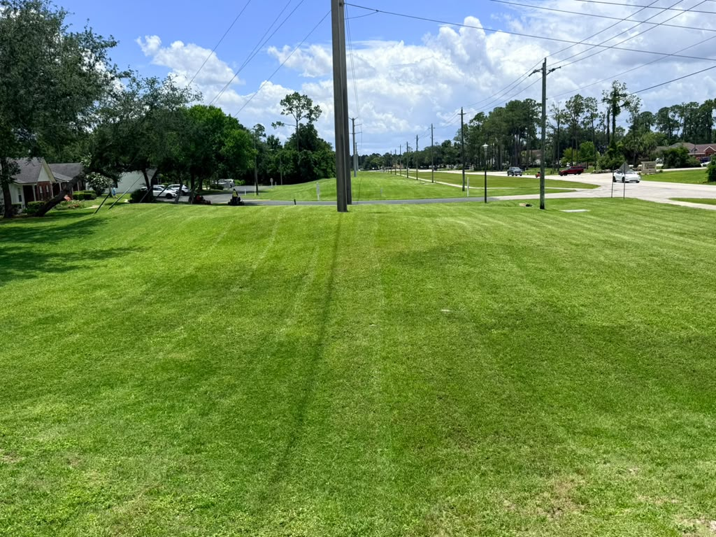 Wide, freshly mowed commercial lawn along a Jacksonville neighborhood street
